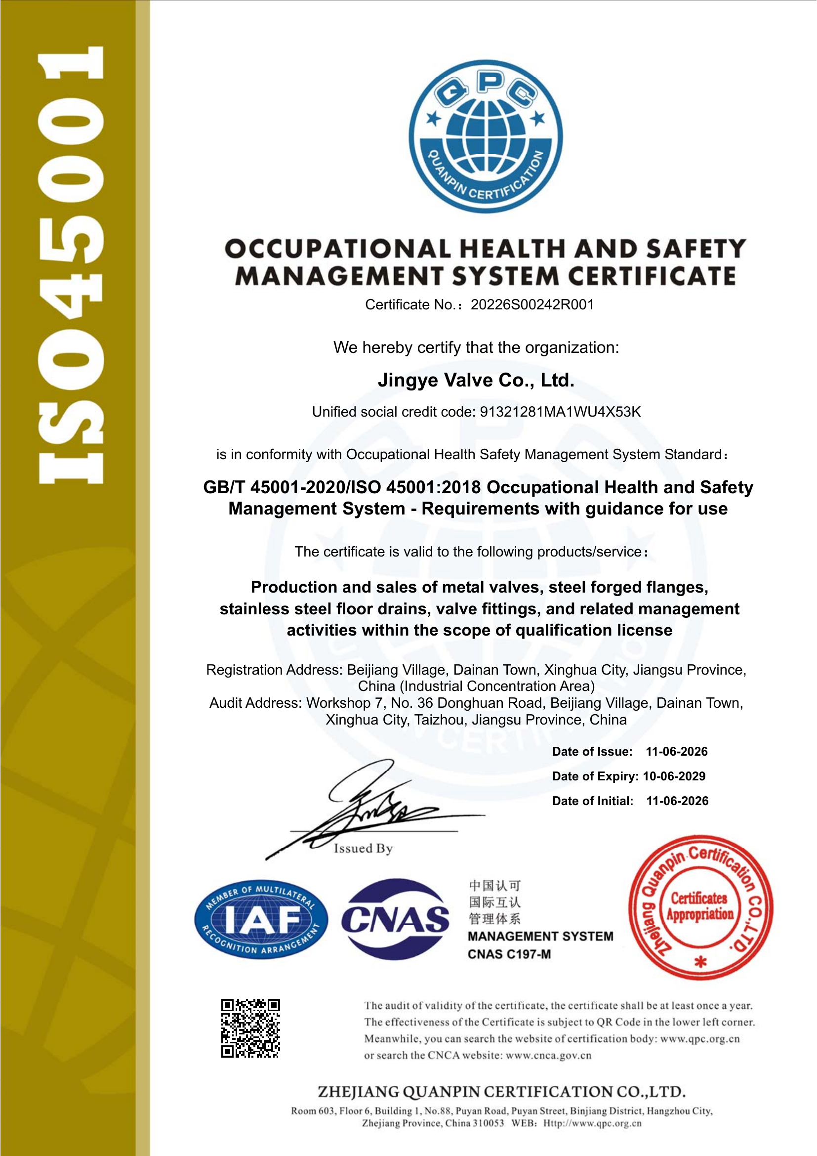 ISO 45001 EN